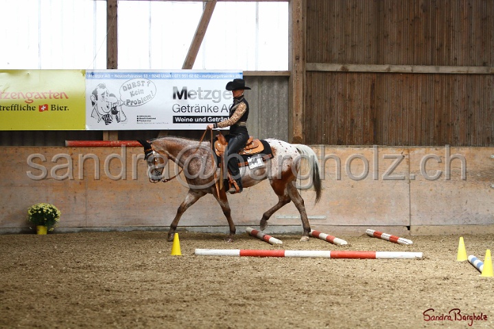 28-ApHC OT_209.jpg